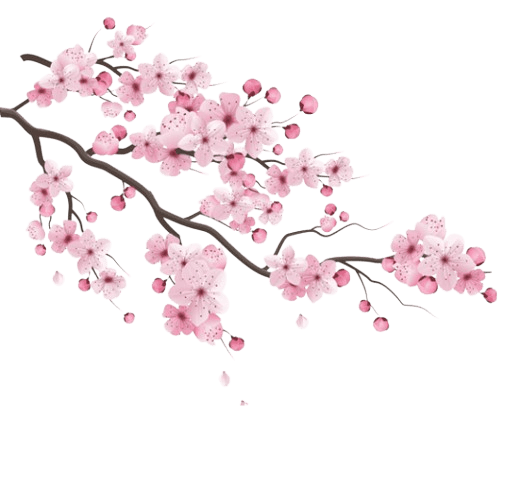 A delicate pink flower illustration.