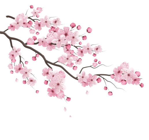 A delicate pink flower illustration.