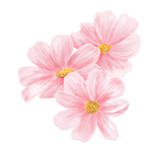 A soft focus illustration of a pink flower.